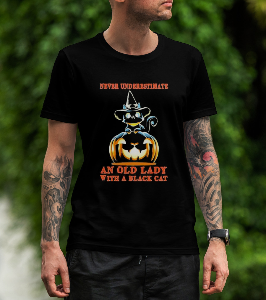 Never Underestimate An Old Lady With A Black Cat Halloween Pumpkin Witch Hat T-Shirt
