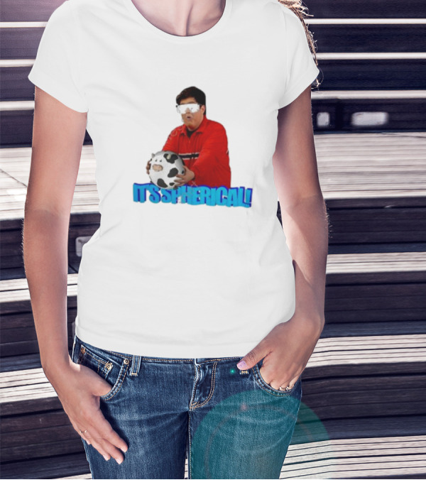 It's Spherical Cow Meme Retro T-Shirt