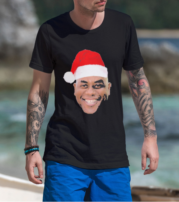 Winter Christmas Ainsley Meme Santa Hat T-Shirt