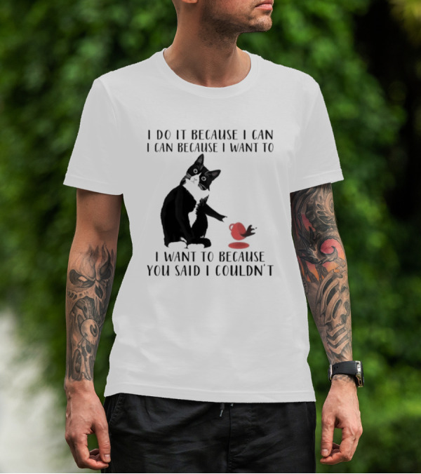 I Do It Because I Can I Can Because I Want To I Want To Because You Said I Couldn't Cat And Yarn T-Shirt