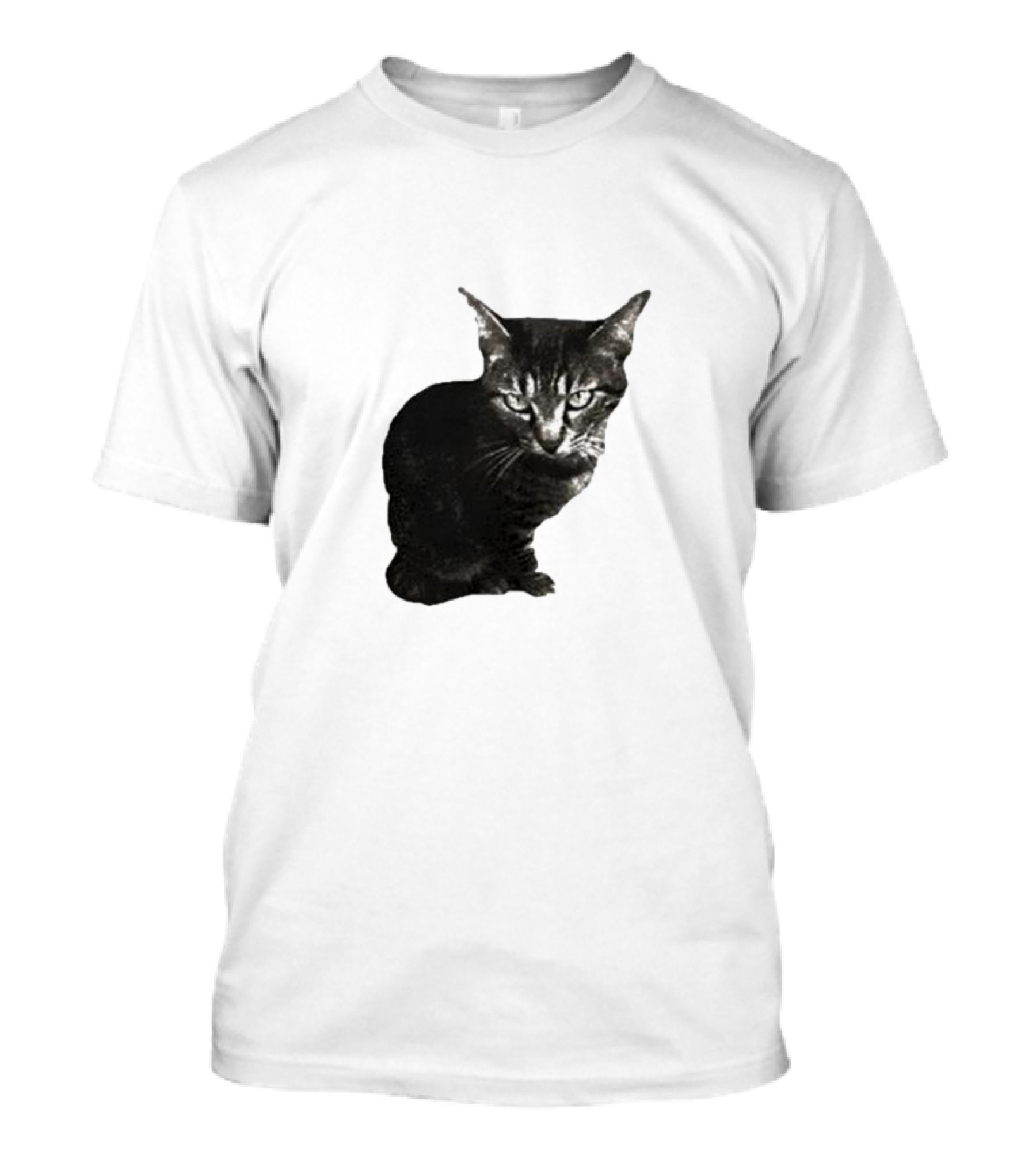 Smileymaya15 How Long Have I Been Here Kitten Cat Black Gray Tabby T-Shirt