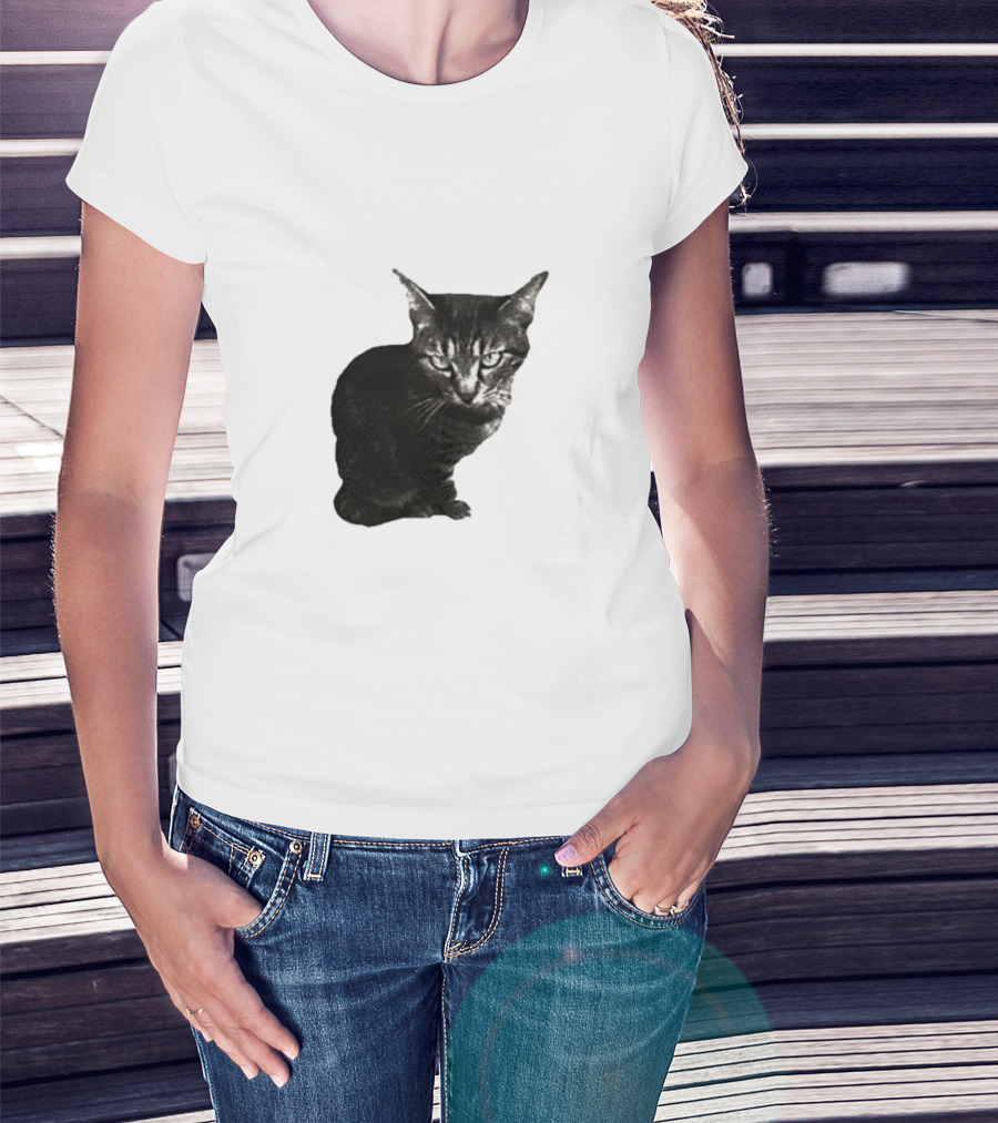 Smileymaya15 How Long Have I Been Here Kitten Cat Black Gray Tabby T-Shirt