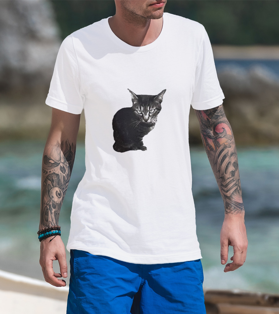 Smileymaya15 How Long Have I Been Here Kitten Cat Black Gray Tabby T-Shirt