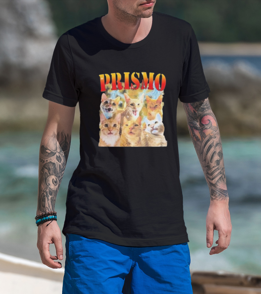 Prismo Cats Colorful Expressions Feline Montage T-Shirt