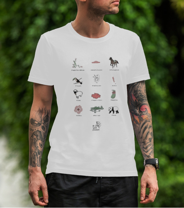 Usa C Gsc Various Motif Back Print Pkt Loose Fitting Garden Snake Manhattan Horse Puffin Dragonfly Great Barrier Reef Poppy Sheep Strawberry Fire Flower Caiman Panda Arles Cezanne T-Shirt