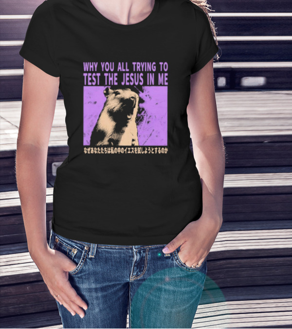 Why You All Trying To Test The Jesus In Me Capybara Japanese Text T-Shirt