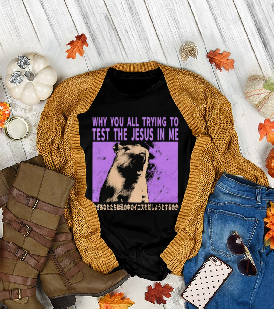 Why You All Trying To Test The Jesus In Me Capybara Japanese Text T-Shirt