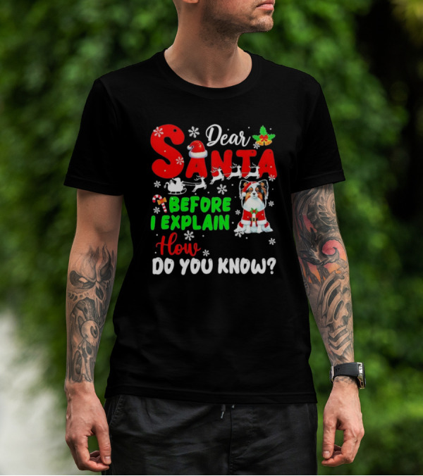 Dear Santa Before I Explain How Do You Know Santa Hat Reindeer Dog Xmas T-Shirt