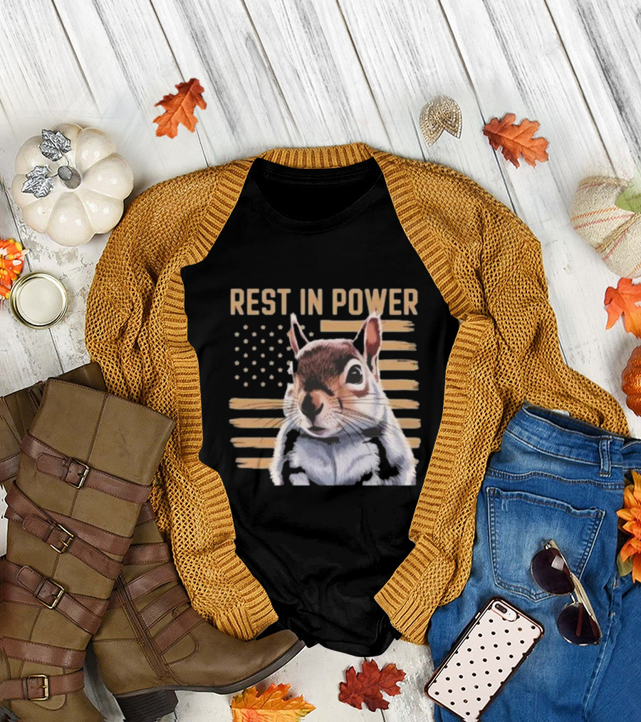 Rest In Power Peanut Justice For Peanut 2024 Squirrel American Flag T-Shirt