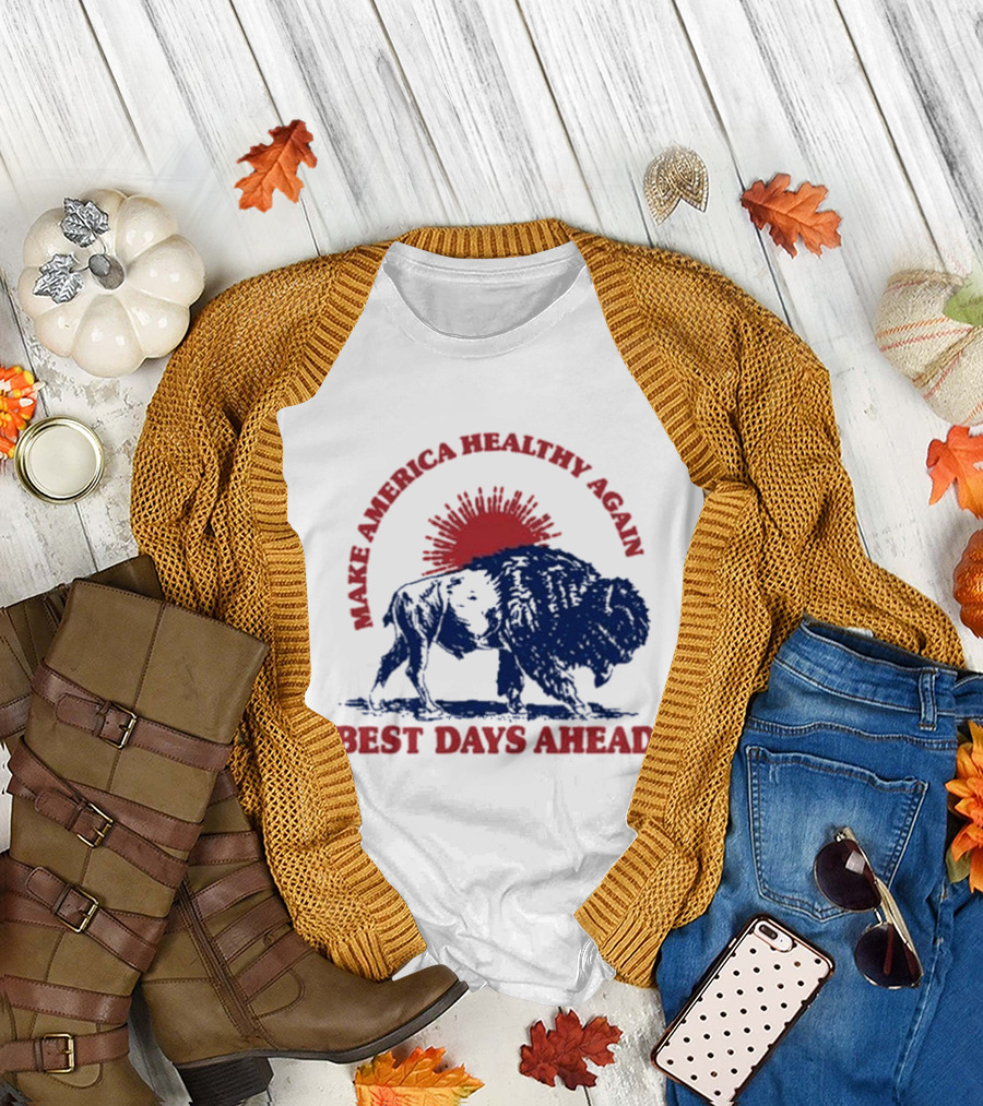 Make America Healthy Again Best Days Ahead Buffalo Bison Sunburst T-Shirt