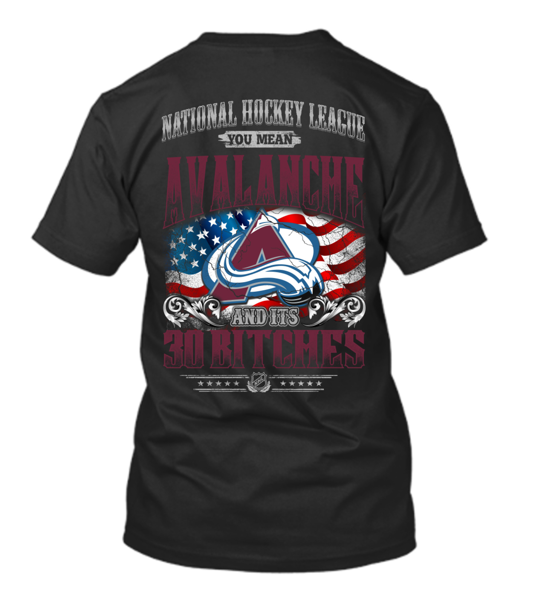National Hockey League You Mean Avalanche And Its 30 Bitches T-Shirt