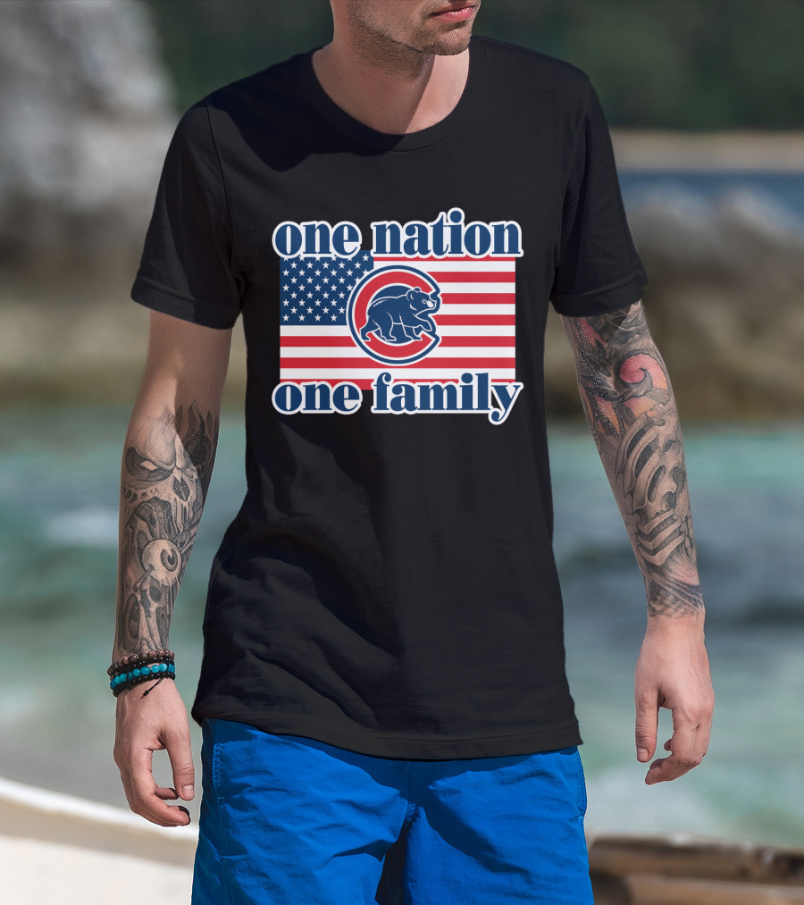 One Nation One Family 57 Chicago Cubs American Flag T-Shirt
