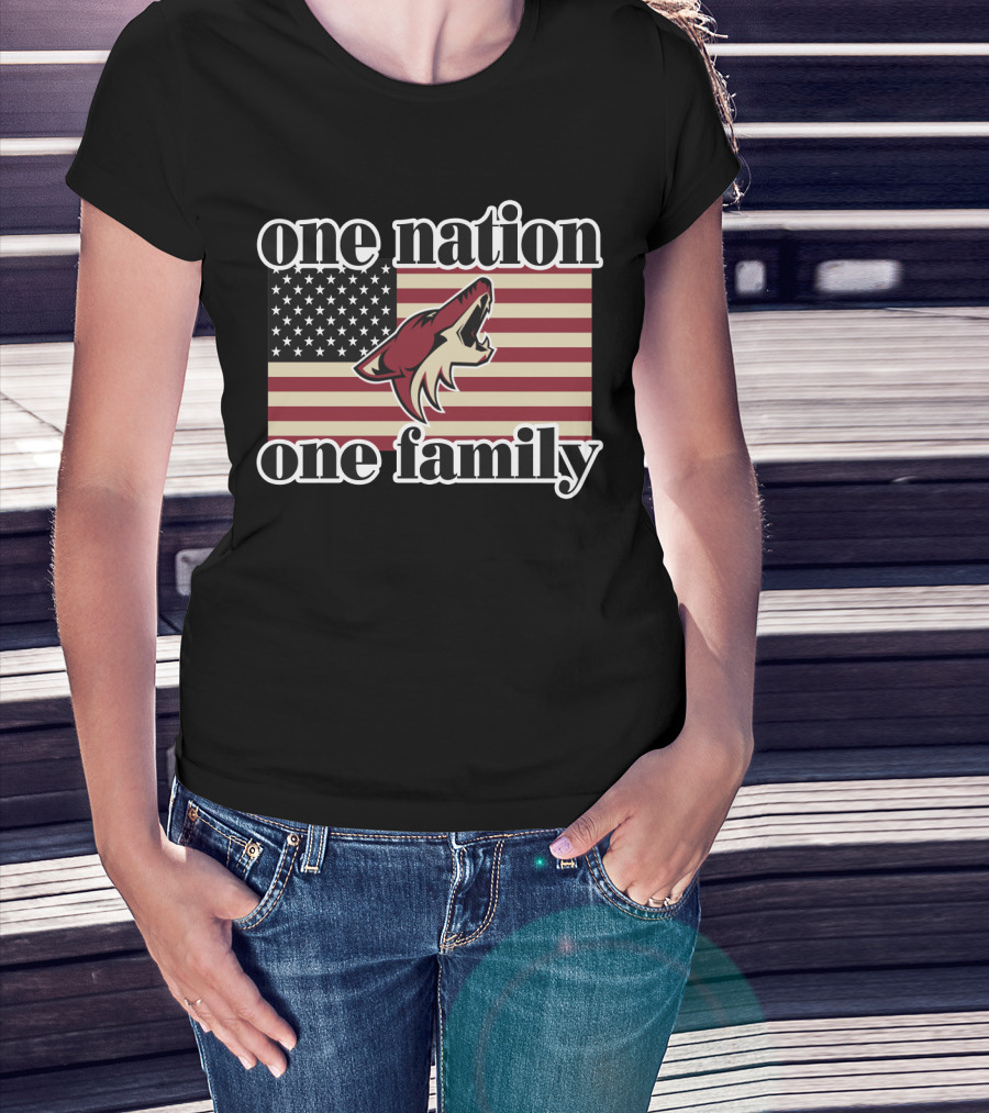 One Nation One Family Arizona Coyotes American Flag T-Shirt
