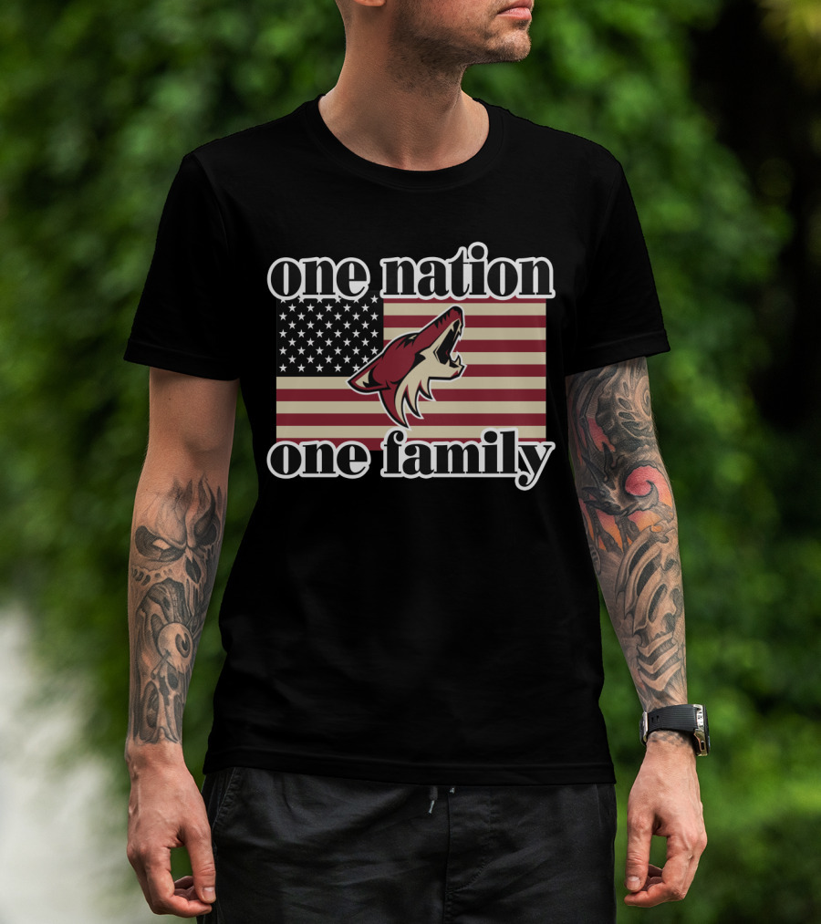 One Nation One Family Arizona Coyotes American Flag T-Shirt