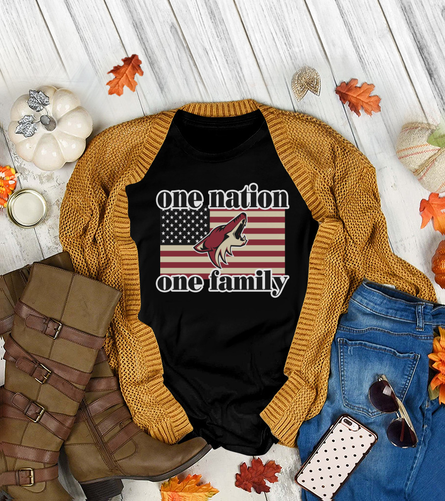 One Nation One Family Arizona Coyotes American Flag T-Shirt