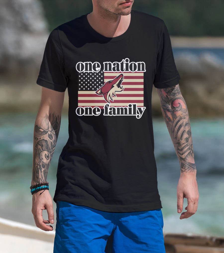 One Nation One Family Arizona Coyotes American Flag T-Shirt