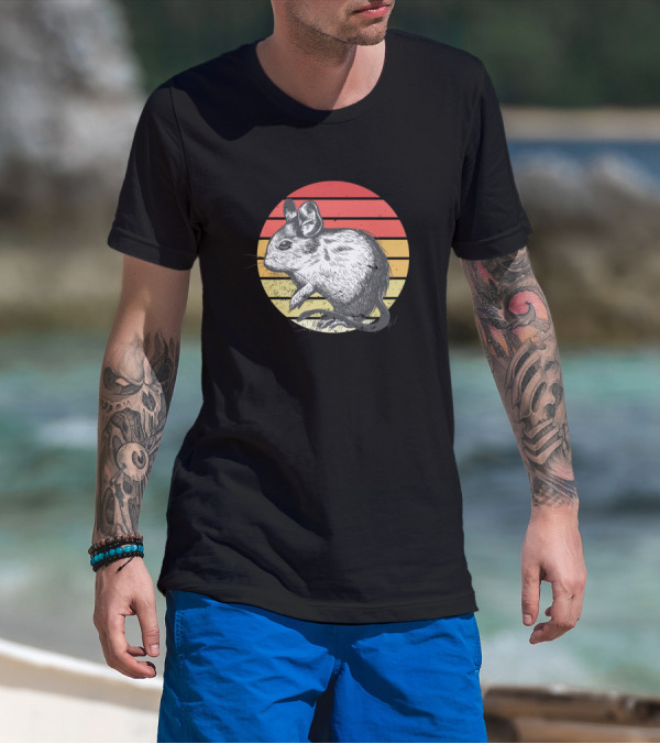Degu With Retro Sunset Octodon Degus Vintage Circle T-Shirt