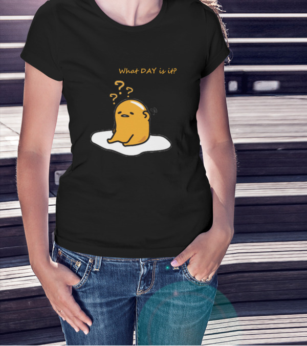 What Day Is It Lazy Gude Missing Day T-Shirt