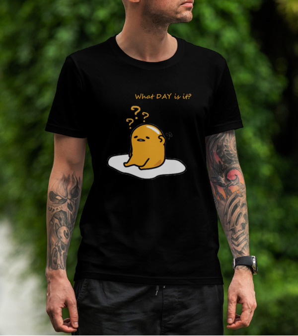 What Day Is It Lazy Gude Missing Day T-Shirt