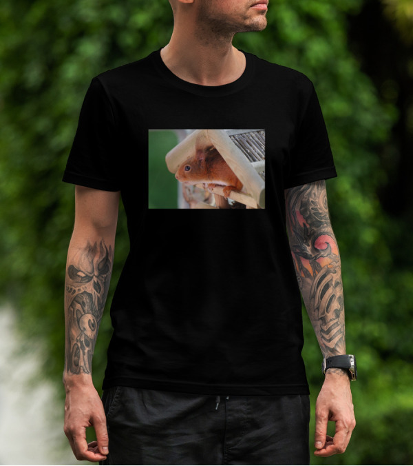 Squirrel In Wooden Birdhouse T-Shirt