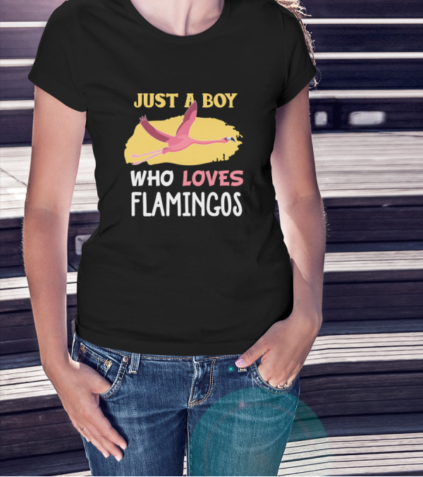 Just A Boy Who Loves Flamingos Flying Flamingo T-Shirt