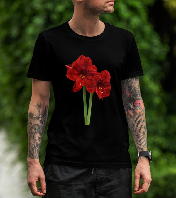 Pair Of Bright Red Amaryllis Blossoms T-Shirt