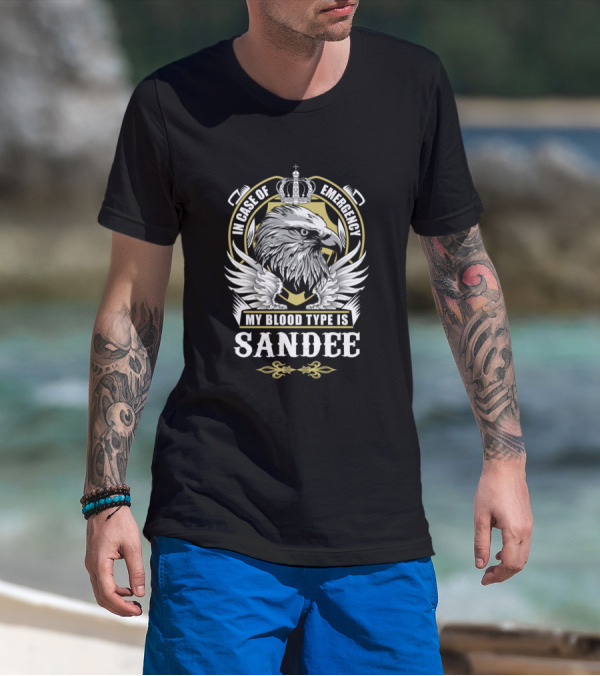In Case Of Emergency My Blood Type Is Sandee Eagle Crown Wings T-Shirt