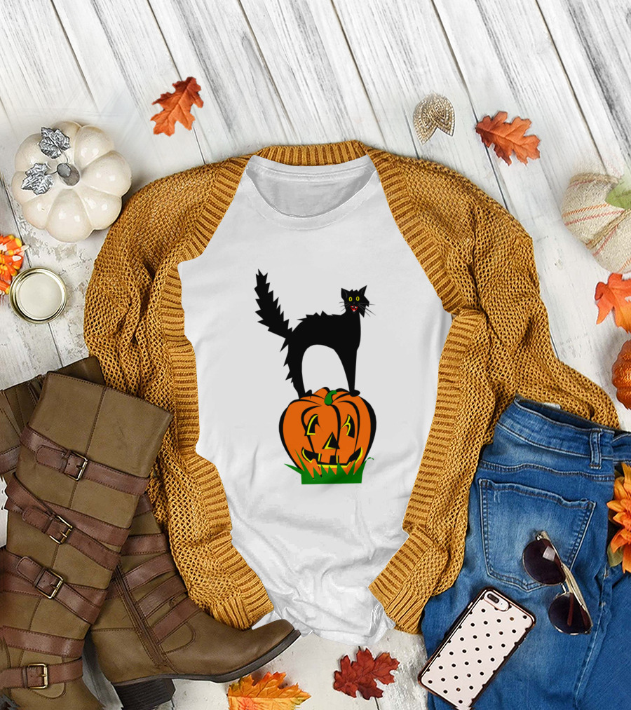 Cats Funny Black Cat And Pumpkin Halloween Kitty T-Shirt