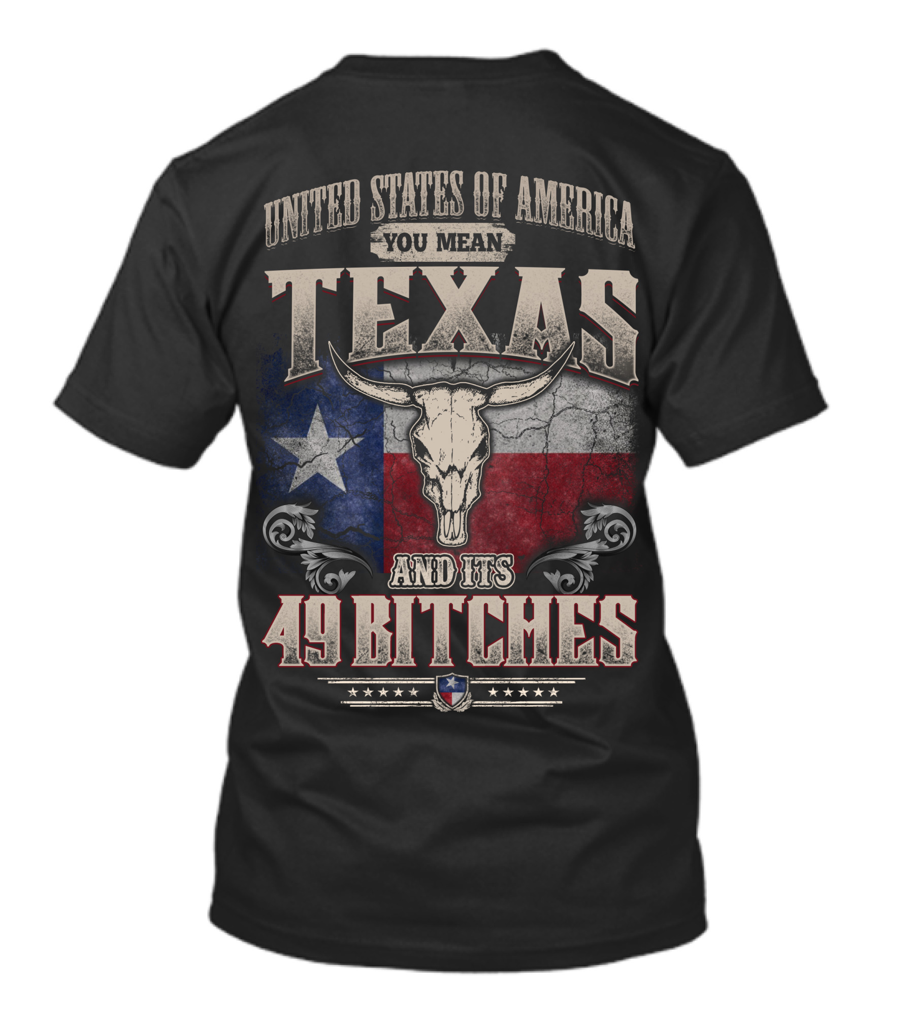 United States Of America You Mean Texas And Its 49 Bitches T-Shirt