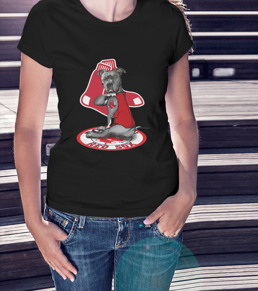 Boston Red Sox Dog Illustration With Team T-Shirt