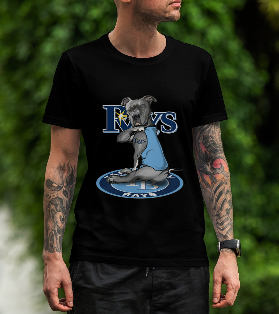 Rays Dog With Tampa Bay Rays Logo And 27-Tampa Bay Rays Circle T-Shirt