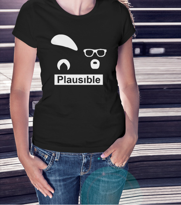 Mythbusters Plausible Jamie Hyneman Adam Savage TV US Icons T-Shirt