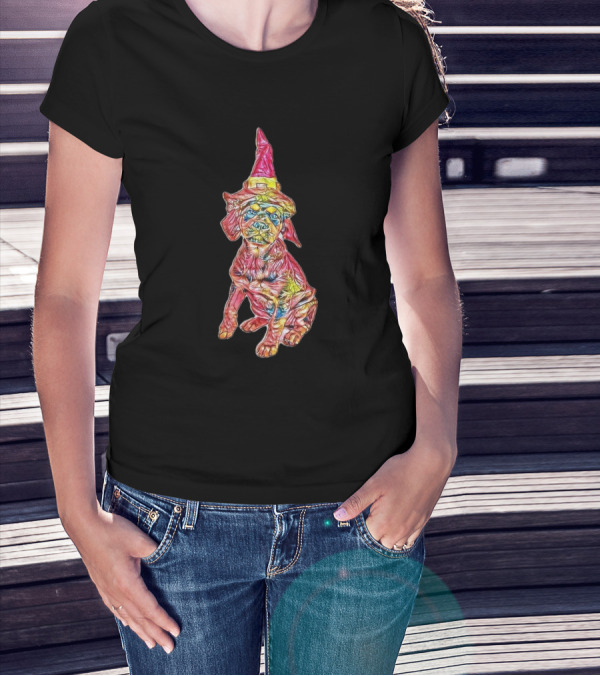 A Twelve Week Old Puppy Wearing Wizard Hat T-Shirt