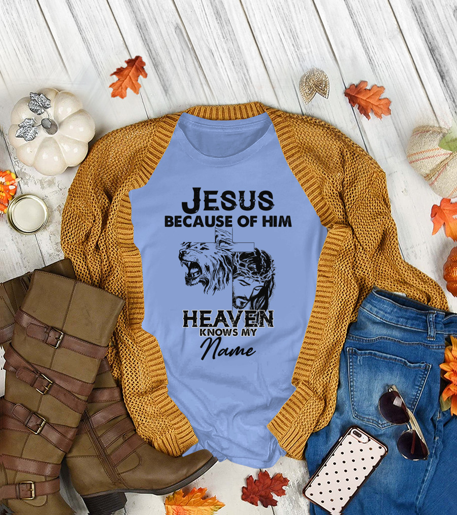 Jesus Because of Him Heaven Knows My Name Lion Cross T-Shirt