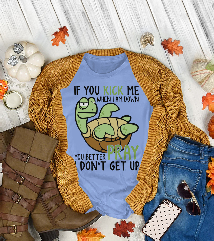 RD Turtle If You Kick Me When I Am Down You Better Pray I Don’t Get Up T-Shirt