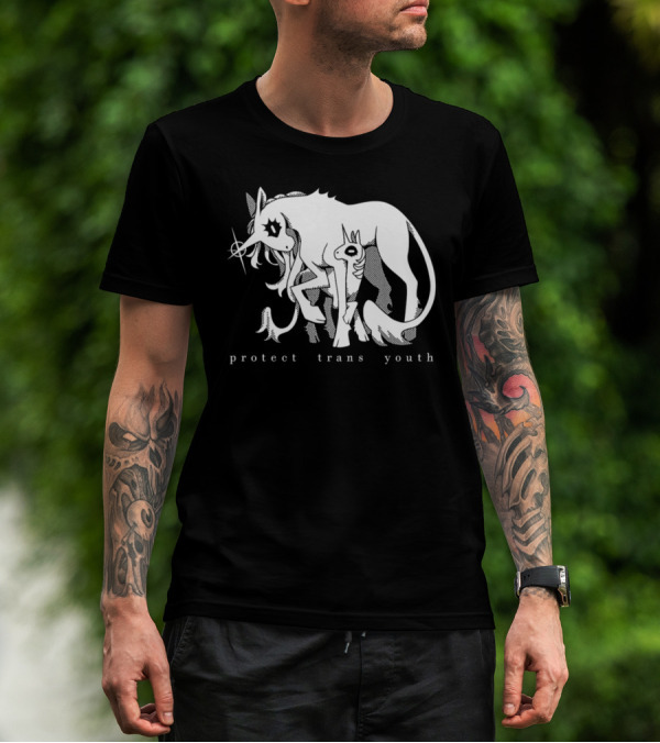 Protect Trans Youth Unicorn Support T-Shirt