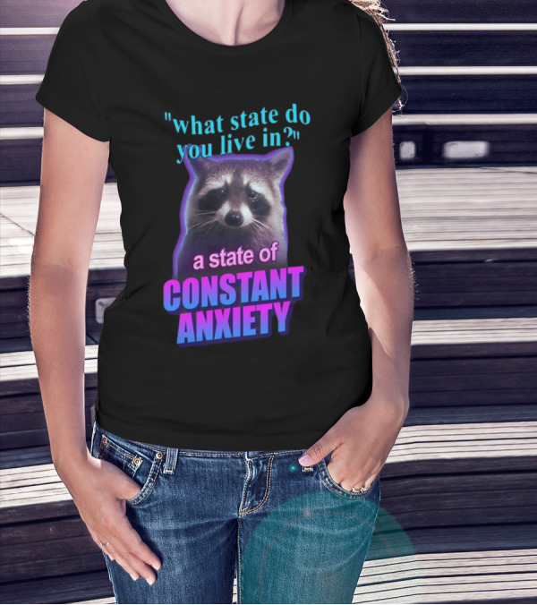 State Of Constant Anxiety Raccoon Humor T-Shirt