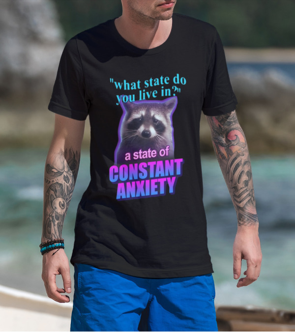 State Of Constant Anxiety Raccoon Humor T-Shirt