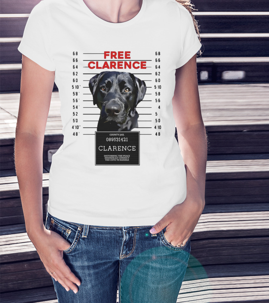 Free Clarence County Jail Disturbing The Peace Disorderly Conduct Too Cute To Handle T-Shirt