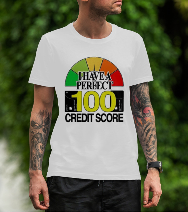 I Have A Perfect 100 Credit Score Gauge Graph T-Shirt