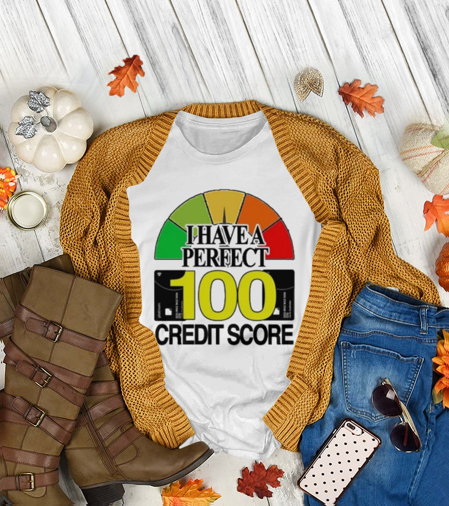 I Have A Perfect 100 Credit Score Gauge Graph T-Shirt