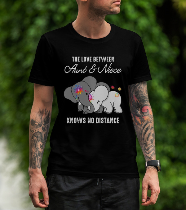 The Love Between Aunt And Niece Knows No Distance Elephants With Colorful Flowers T-Shirt