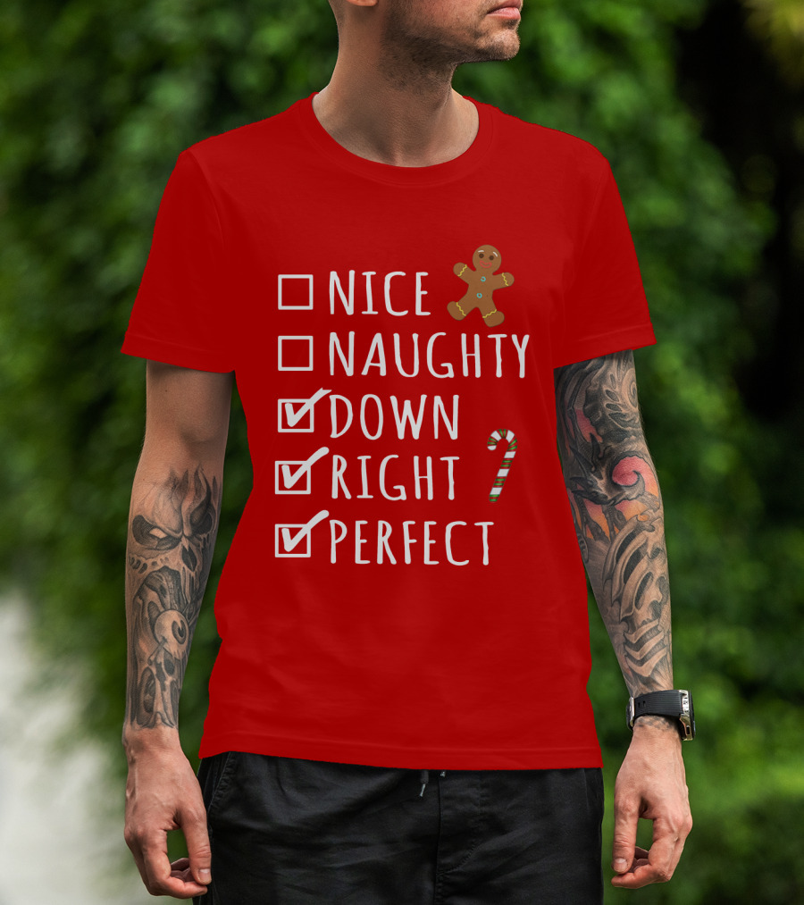 Nice Naughty Down Right Perfect Gingerbread Candy Cane Holiday Checklist T-Shirt