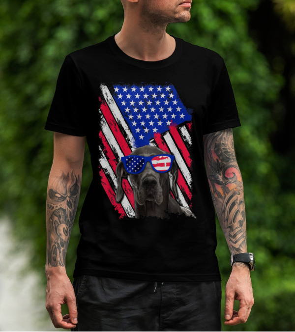 Vintage Distressed Great Dane With American USA Flag Sunglasses T-Shirt