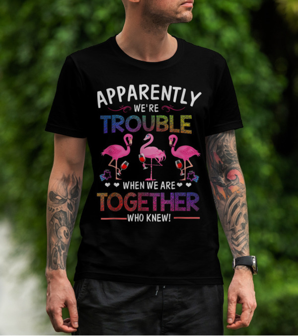 Apparently We're Trouble When We Are Together Who Knew Flamingo Wine Glass Party T-Shirt