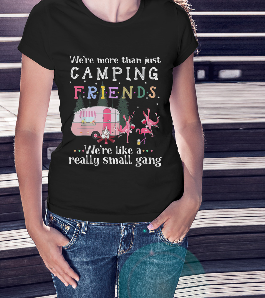 We're More Than Just Camping Friends Flamingo Like A Really Small Gang T-Shirt