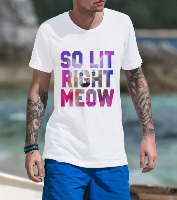 SO LIT RIGHT MEOW Cat Typography T-Shirt