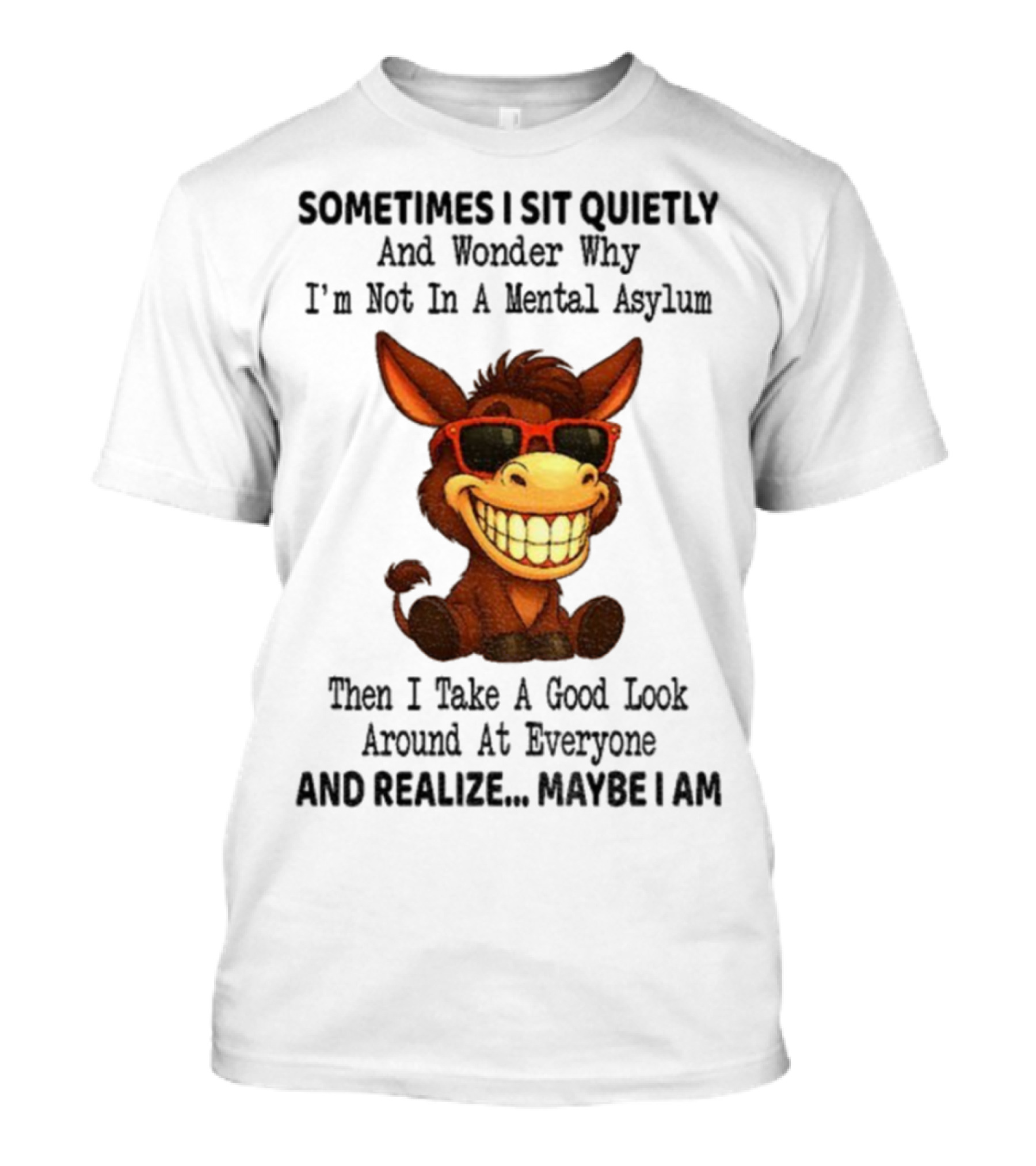Sometimes I Sit Quietly And Wonder Why I'm Not In A Mental Asylum Then I Take A Good Look Around At Everyone And Realize Maybe I Am Donkey Meme T-Shirt
