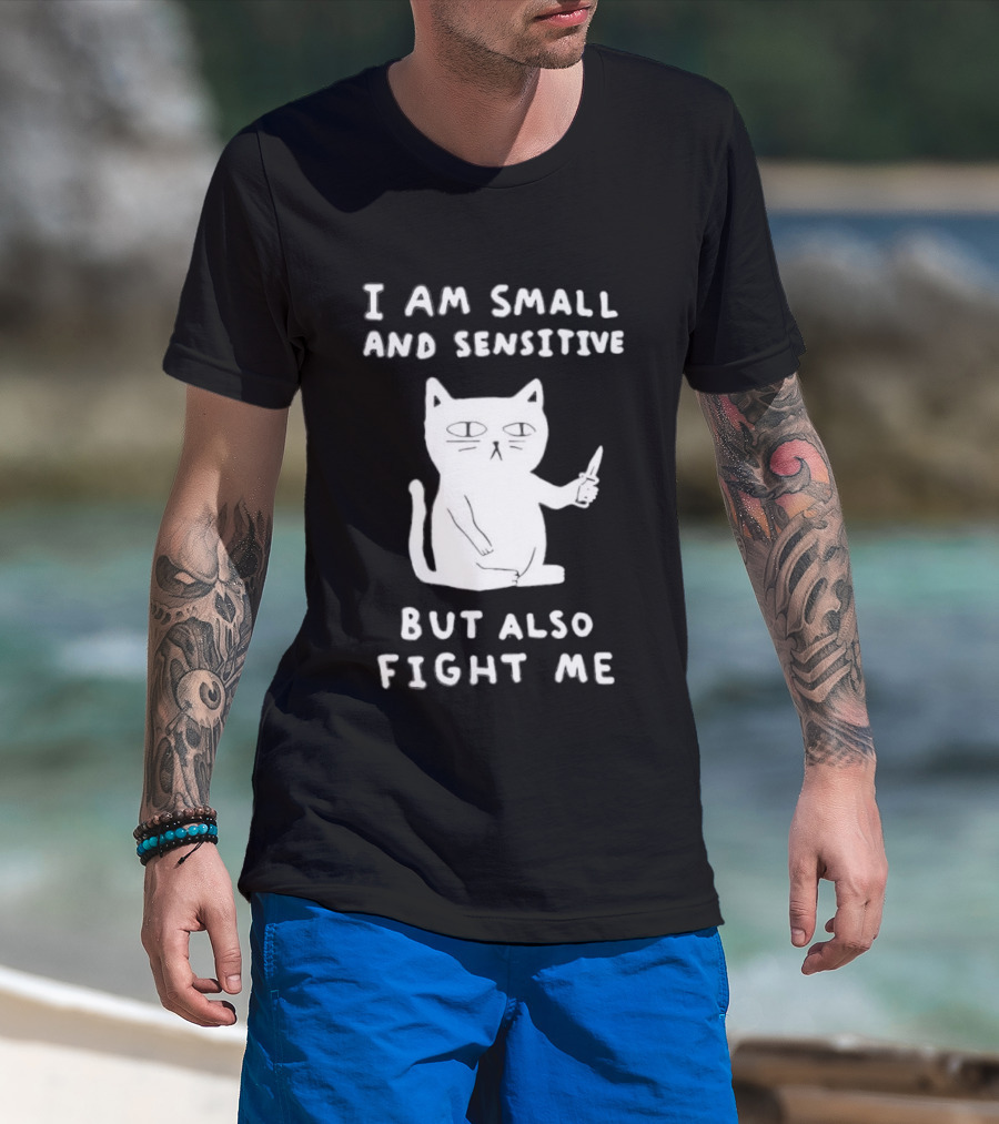 Cat I Am Small And Sensitive But Also Fight Me Playful Humor T-Shirt