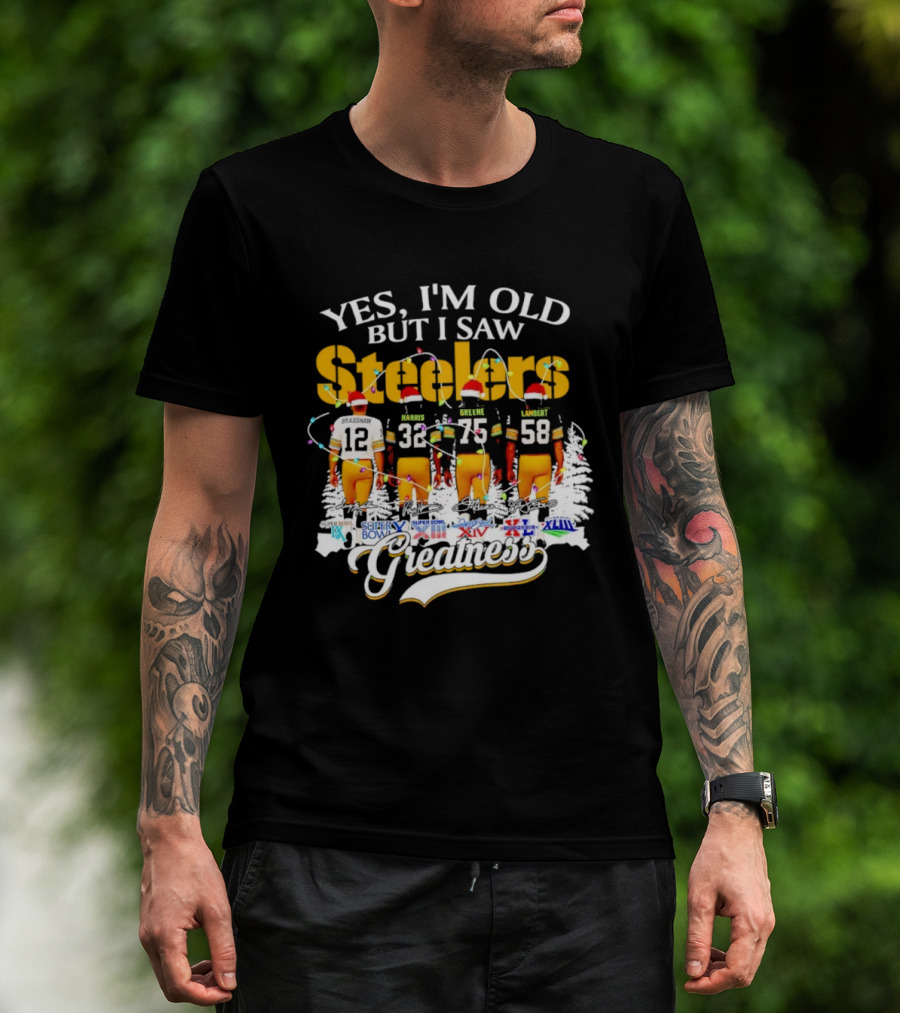 Yes I'm Old But I Saw Steelers Super Bowls Greatest T-Shirt